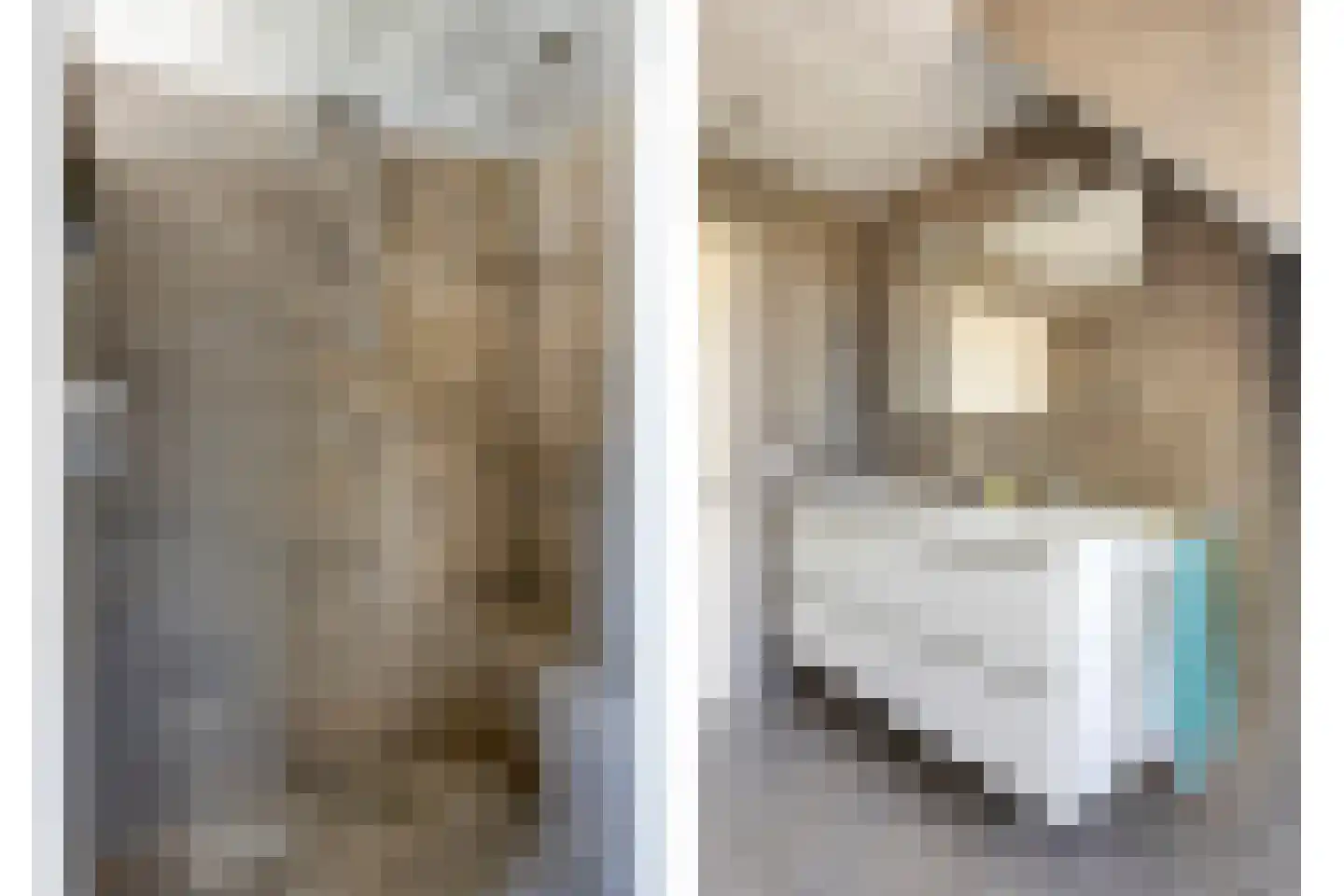 Carel Vosmaerdreef 1 Goirle thumbnail 30