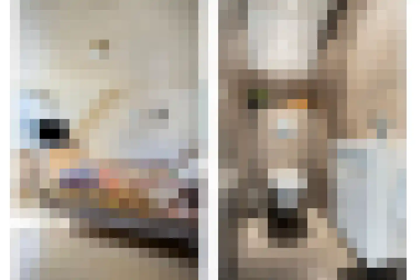 Carel Vosmaerdreef 1 Goirle thumbnail 31
