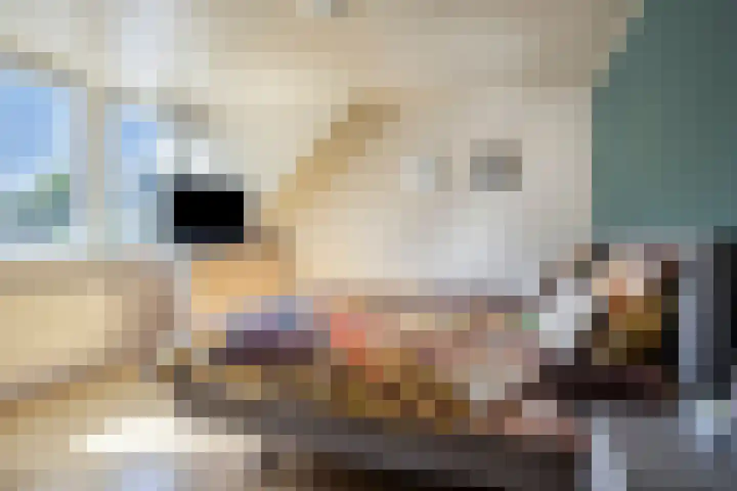 Carel Vosmaerdreef 1 Goirle thumbnail 32