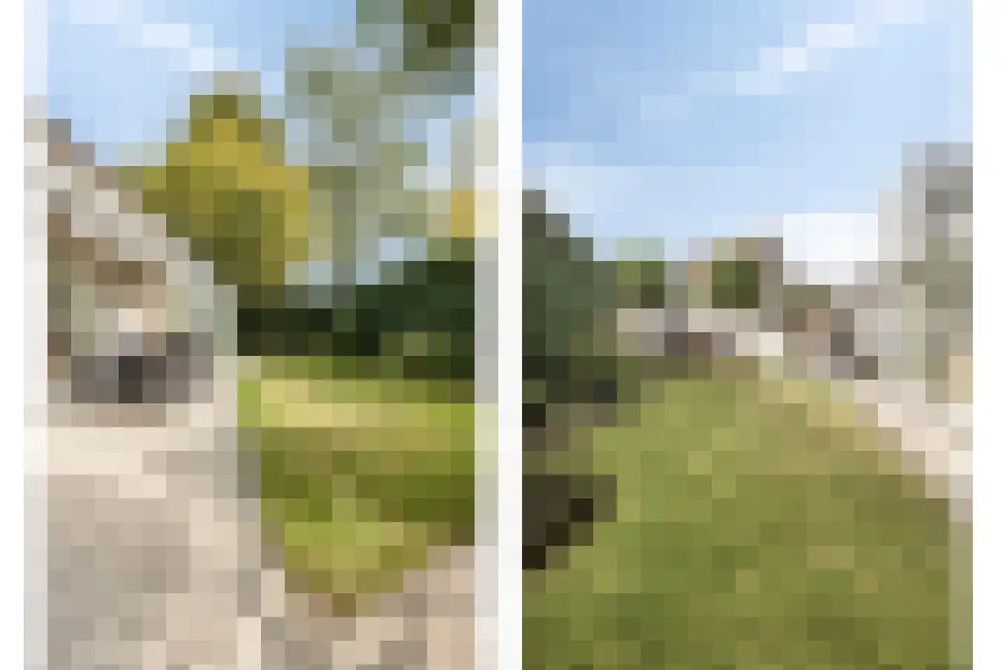 Carel Vosmaerdreef 1 Goirle thumbnail 39
