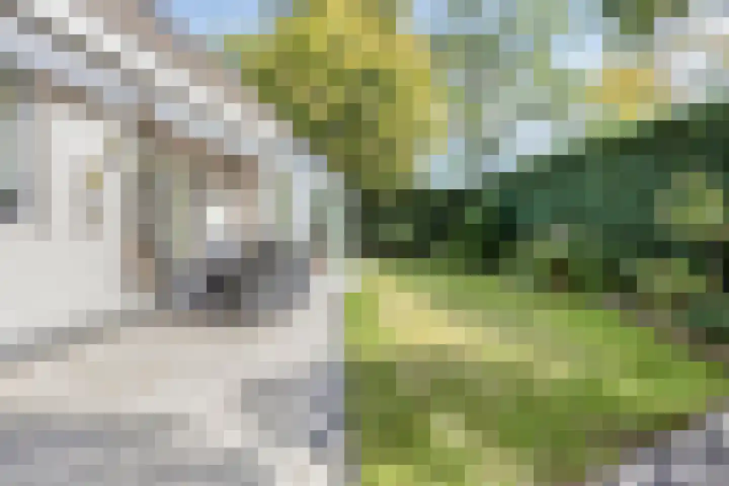 Carel Vosmaerdreef 1 Goirle thumbnail 40