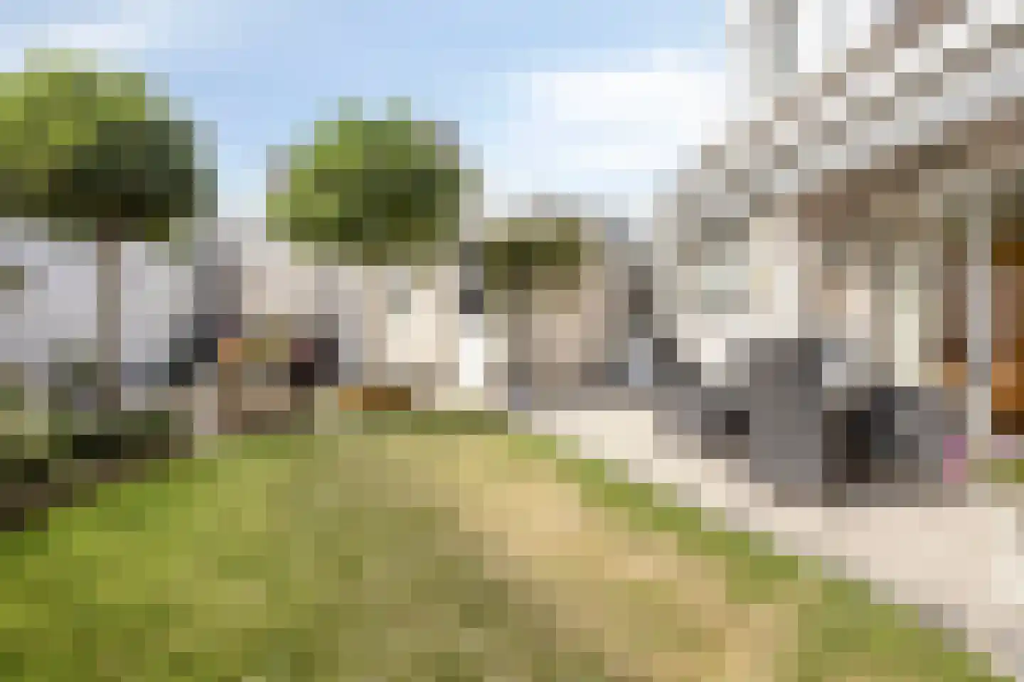 Carel Vosmaerdreef 1 Goirle thumbnail 41