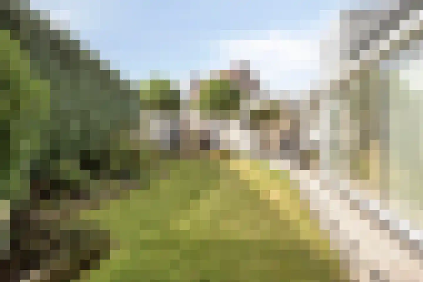 Carel Vosmaerdreef 1 Goirle thumbnail 43