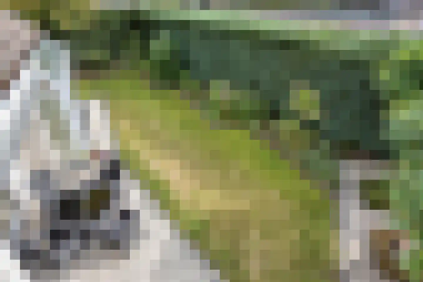 Carel Vosmaerdreef 1 Goirle thumbnail 46