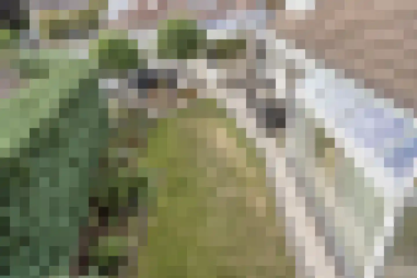 Carel Vosmaerdreef 1 Goirle thumbnail 47