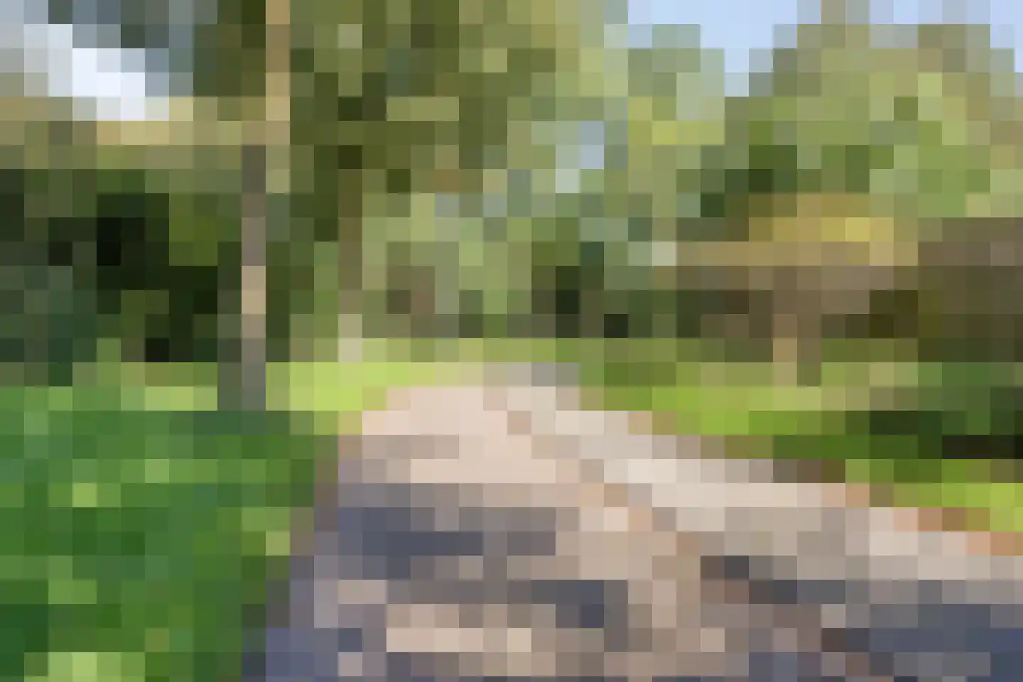 Carel Vosmaerdreef 1 Goirle thumbnail 51
