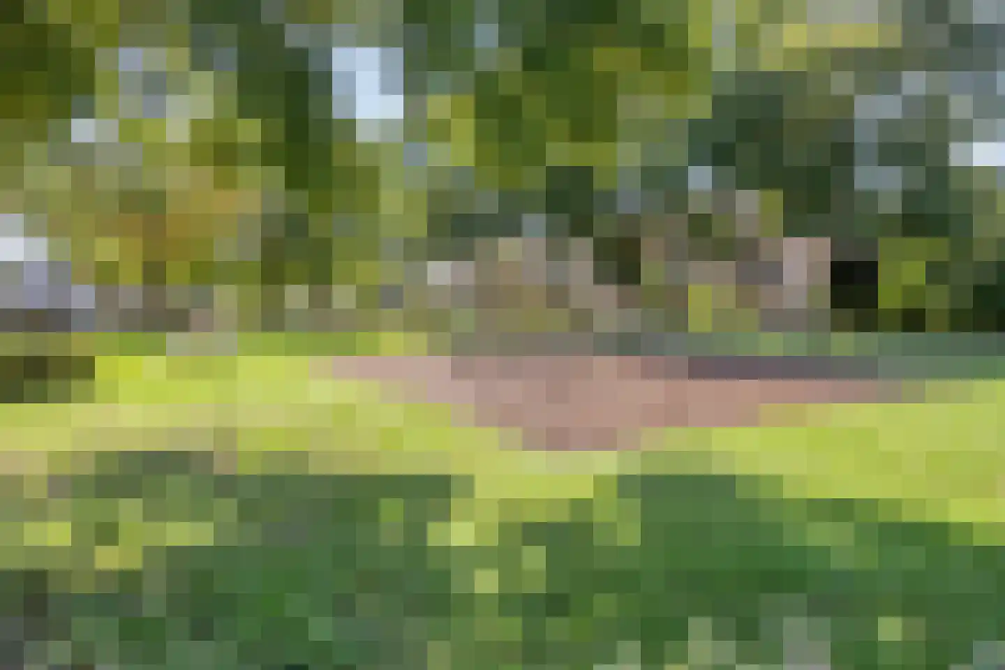 Carel Vosmaerdreef 1 Goirle thumbnail 52