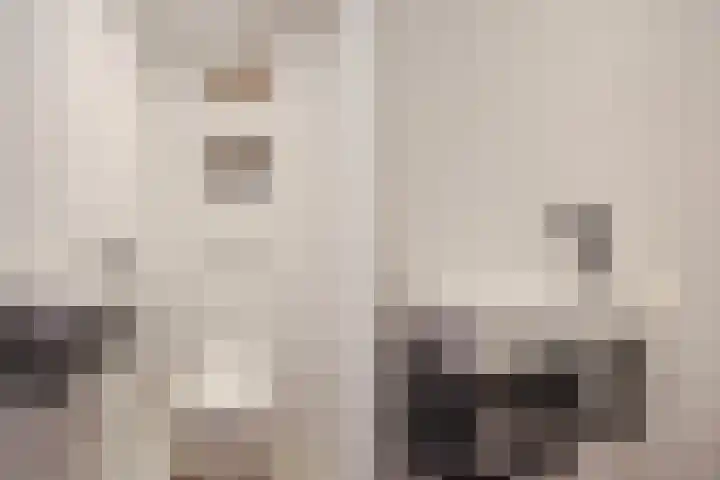 Carel Vosmaerstraat 42 Voorburg thumbnail 12