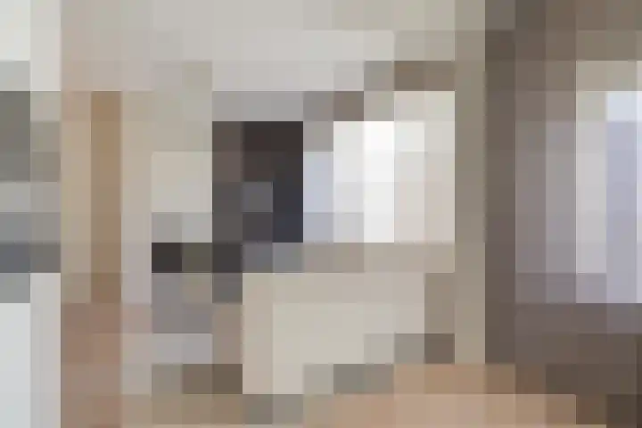 Carel Vosmaerstraat 42 Voorburg thumbnail 26