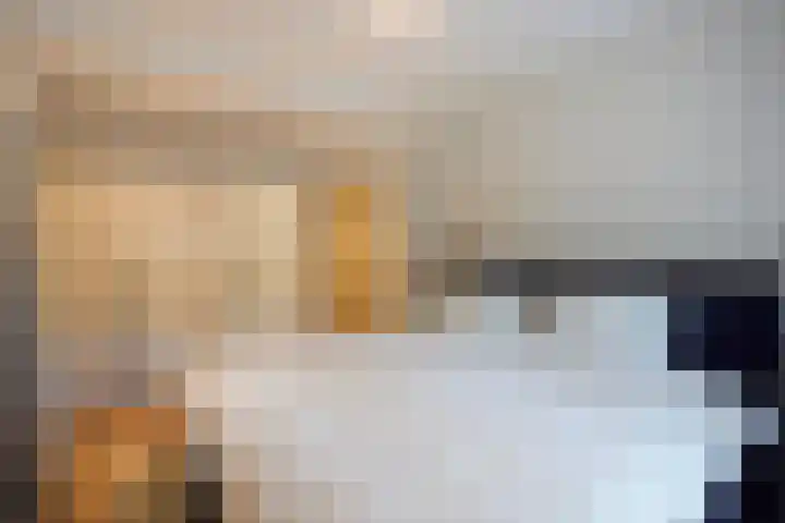 Carel Vosmaerstraat 42 Voorburg thumbnail 31