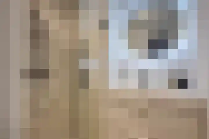 Carel Vosmaerstraat 42 Voorburg thumbnail 32