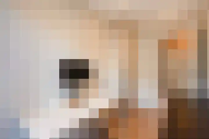 Carel Vosmaerstraat 42 Voorburg thumbnail 35