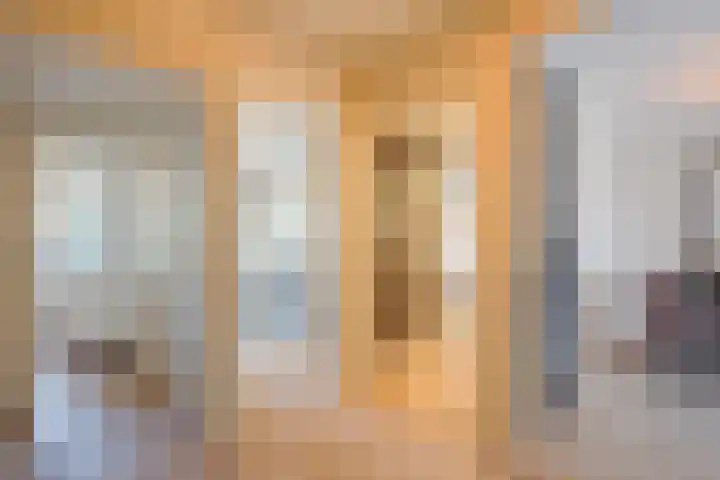 Carel Vosmaerstraat 42 Voorburg thumbnail 9