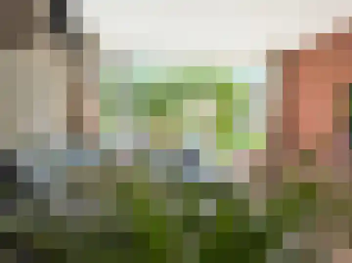 Carel Vosmaerstraat 6 Hengelo thumbnail 25
