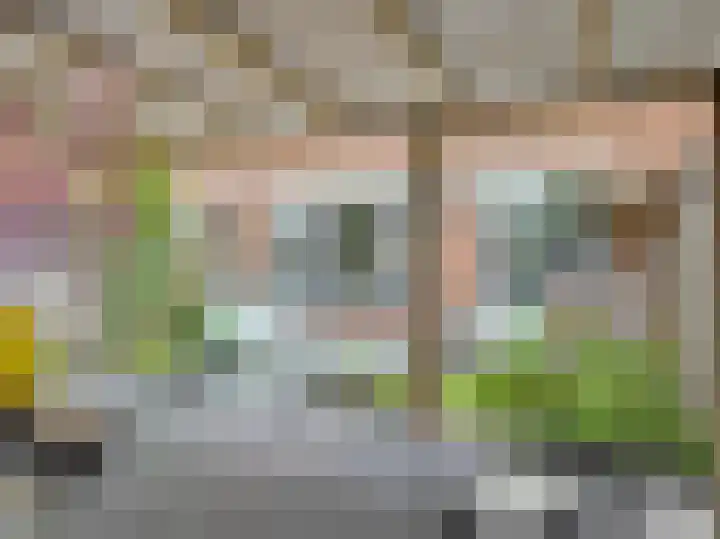 Carel Vosmaerstraat 6 Hengelo thumbnail 72