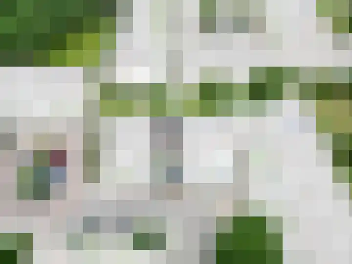 Carel Vosmaerstraat 6 Hengelo thumbnail 76