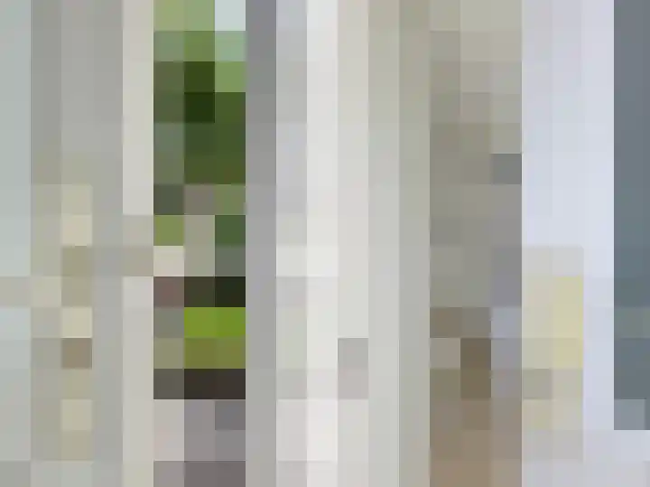 Carel Vosmaerstraat 6 Hengelo thumbnail 9