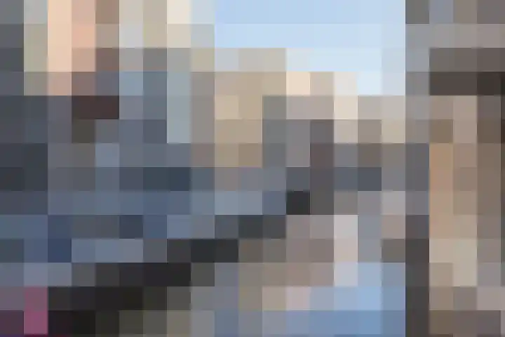 Carel Willinkgracht 125 Diemen thumbnail 27