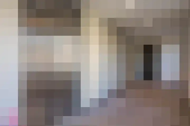 Carel Willinkgracht 125 Diemen thumbnail 4