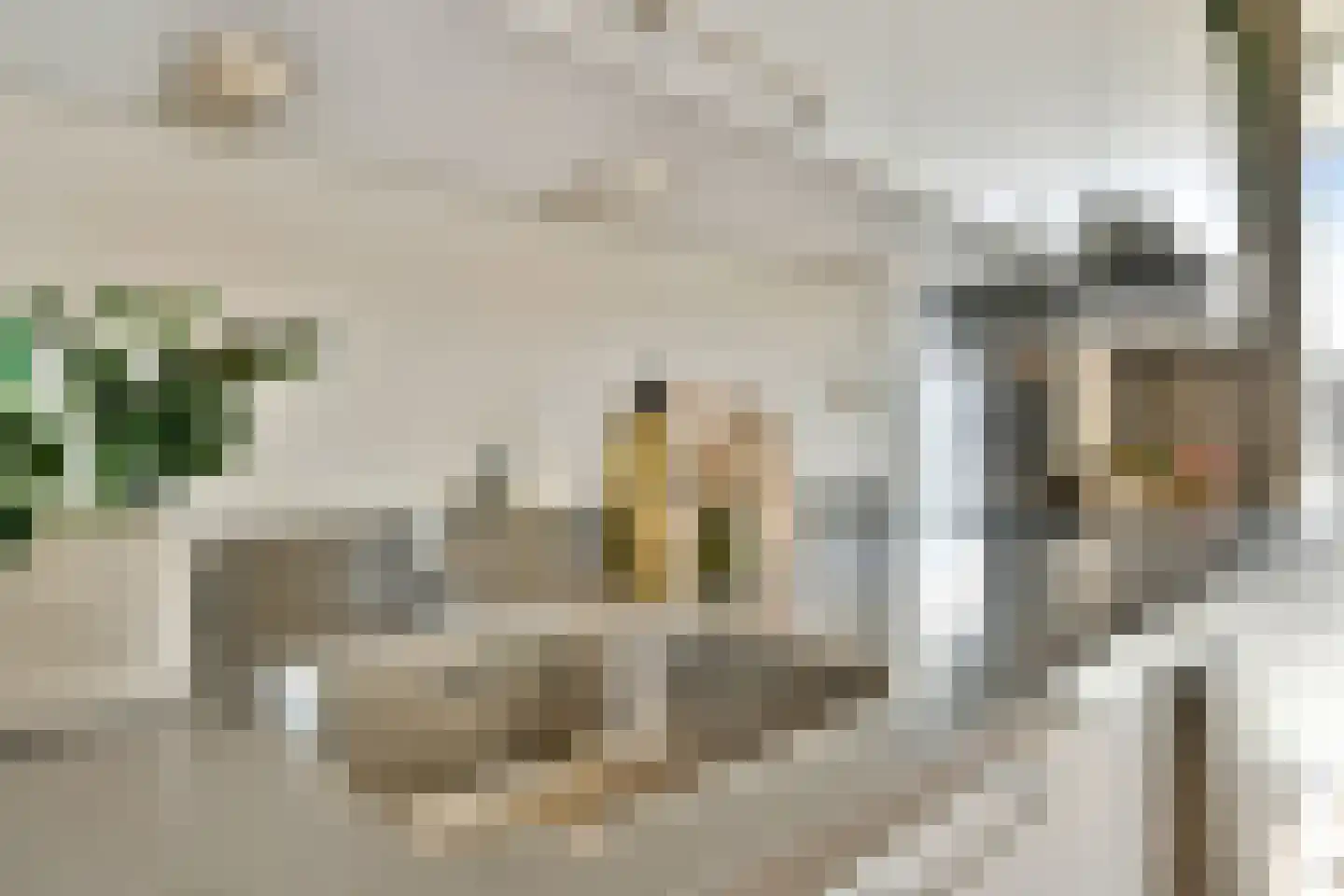 Carel Willinkgracht 211 Diemen thumbnail 18