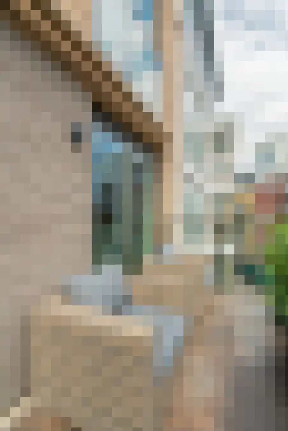 Carel Willinkgracht 219 Diemen thumbnail 20
