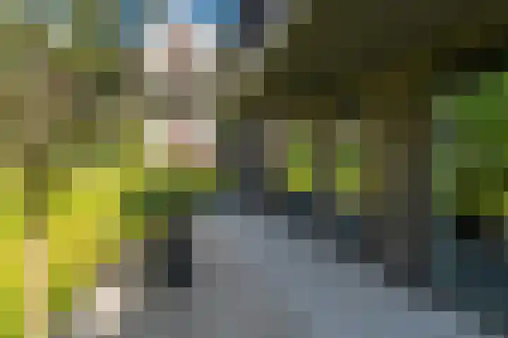 Carel Willinkgracht 235 Diemen thumbnail 4