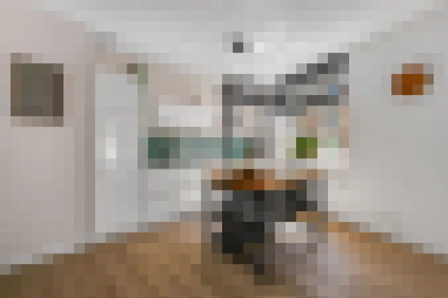 Carel Willinkgracht 251 Diemen thumbnail 11