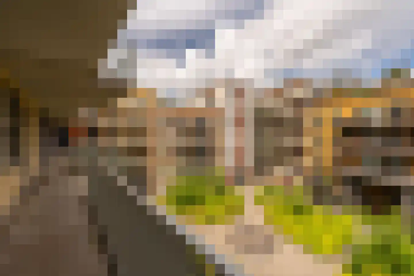 Carel Willinkgracht 317 Diemen thumbnail 44