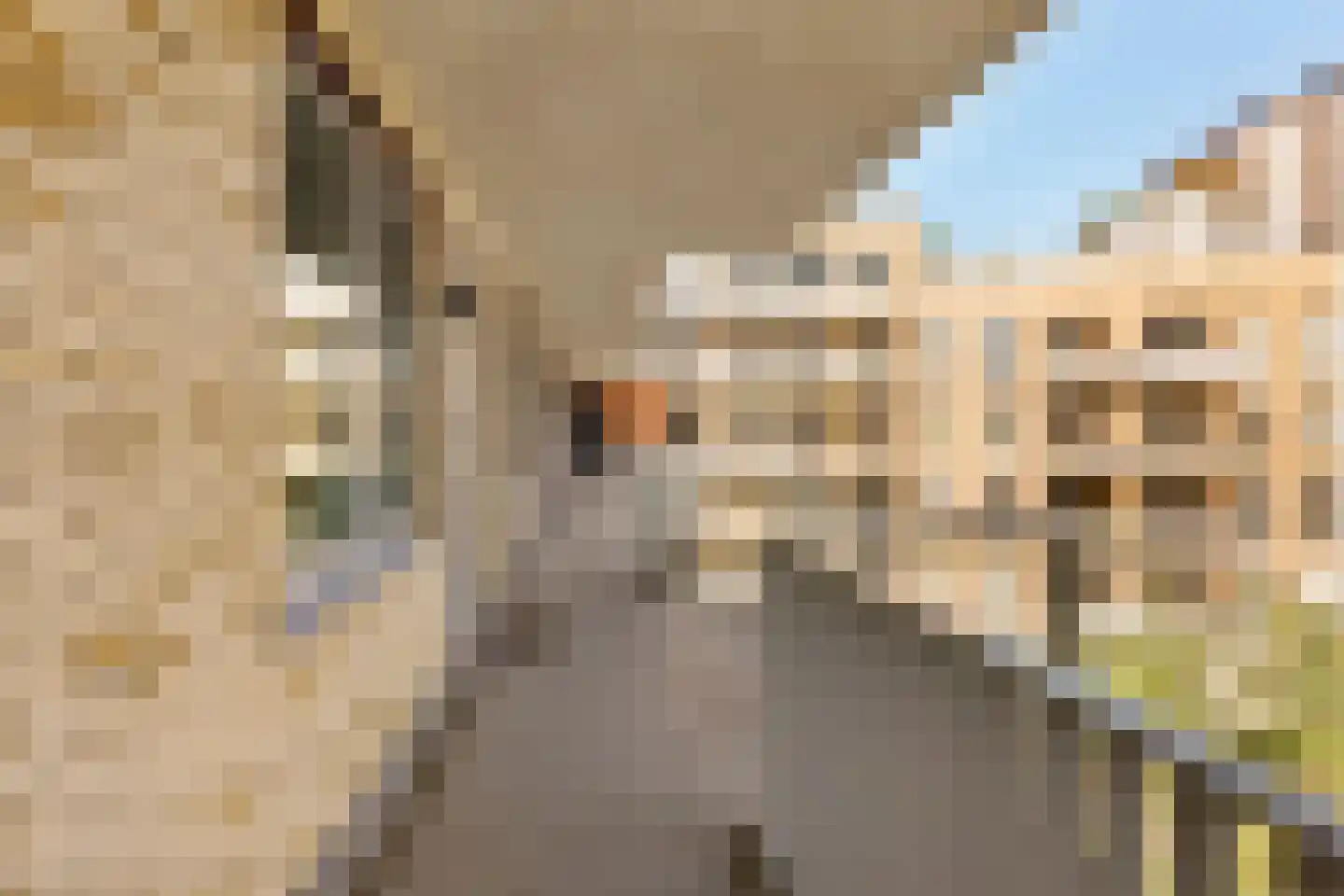 Carel Willinkgracht 319 Diemen thumbnail 28