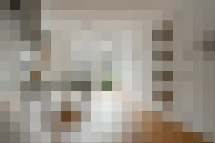 Carel Willinkgracht 419 Diemen thumbnail 19