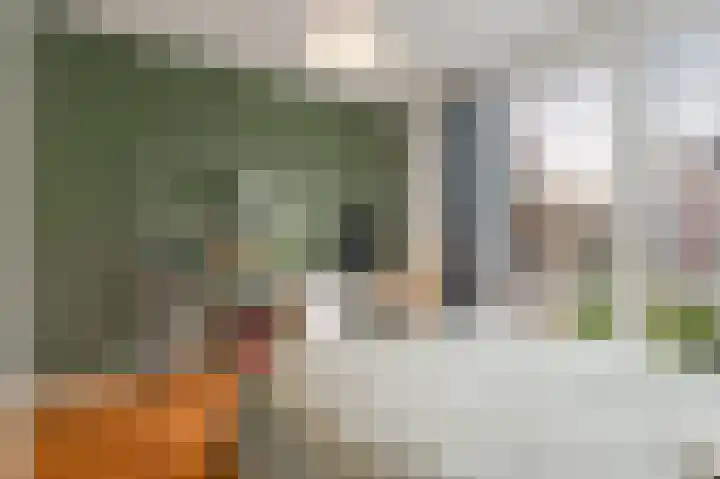Carel Willinkgracht 419 Diemen thumbnail 33