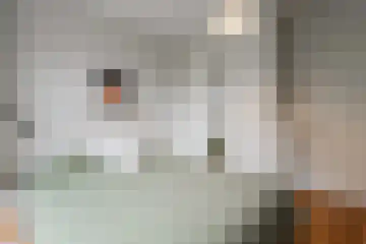 Carel Willinkgracht 419 Diemen thumbnail 34