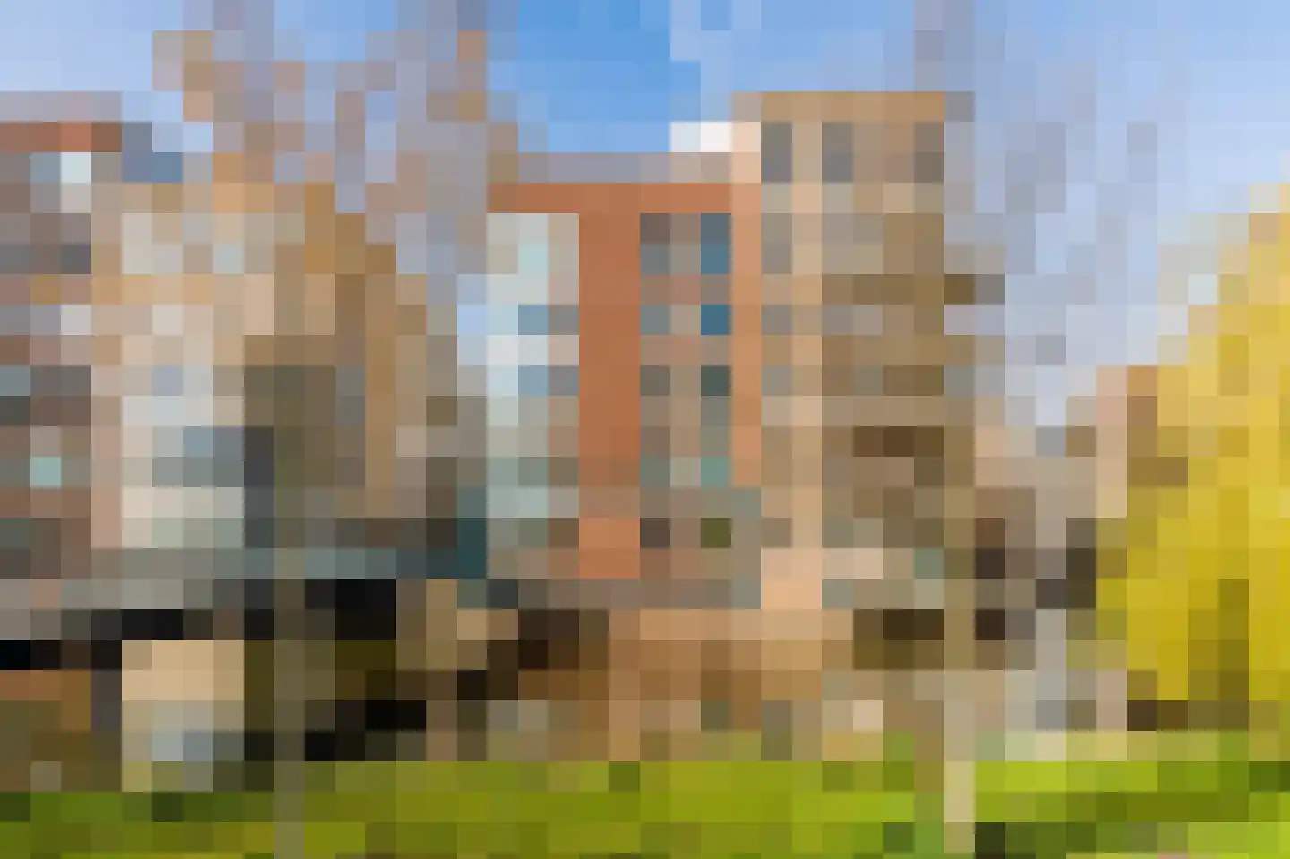 Carel Willinkgracht 437 Diemen thumbnail 43