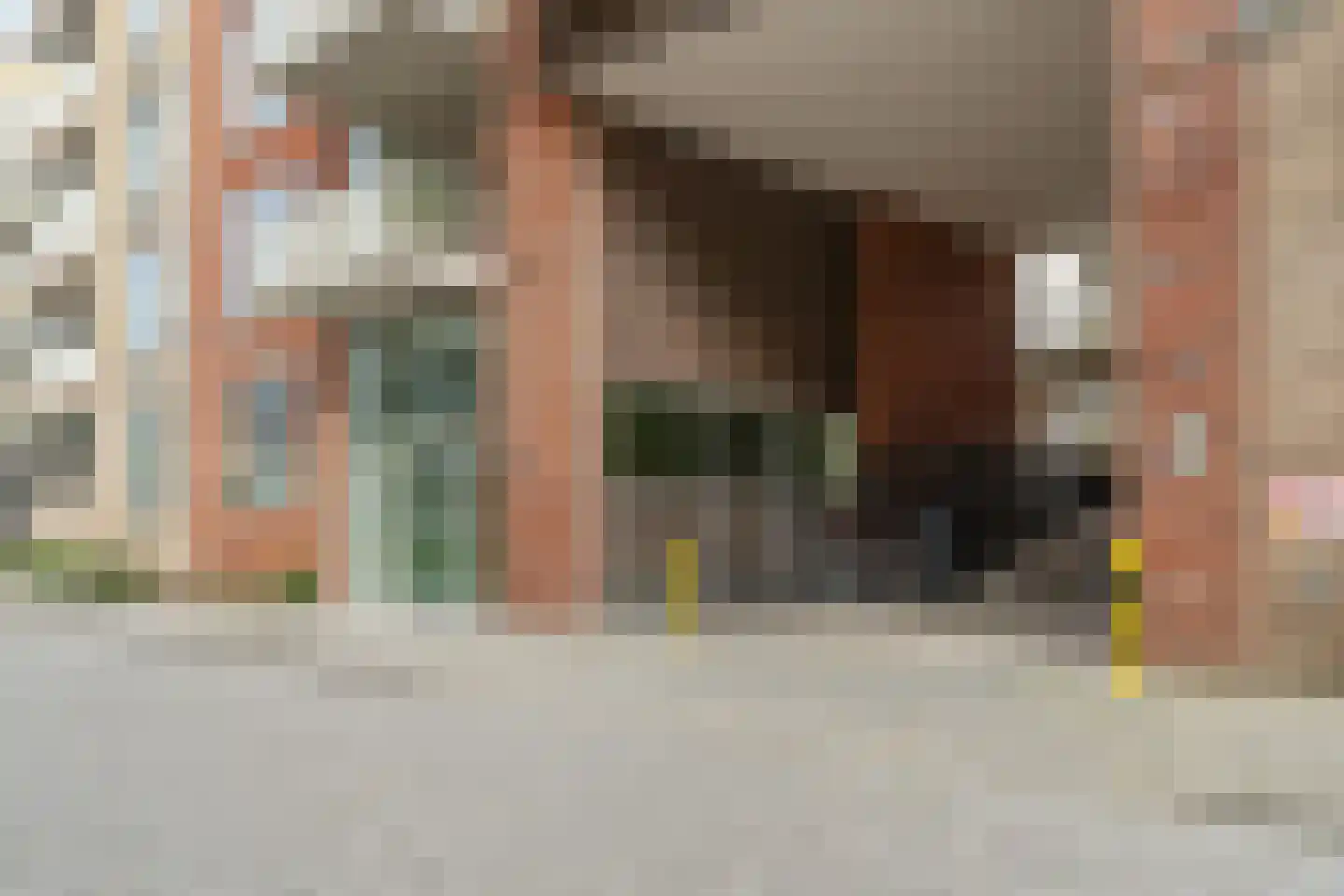 Carel Willinkgracht 439 Diemen thumbnail 36