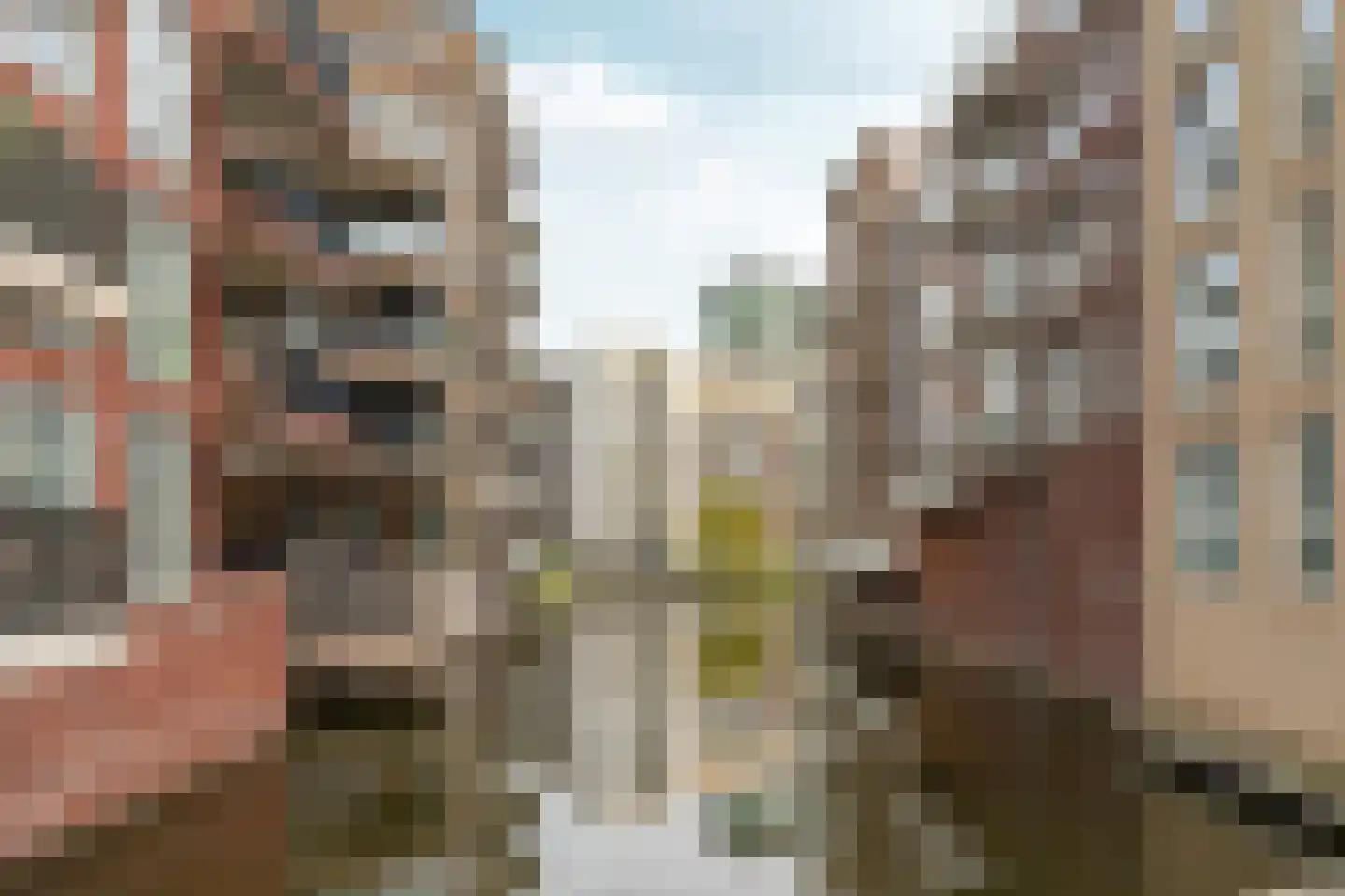 Carel Willinkgracht 439 Diemen thumbnail 40