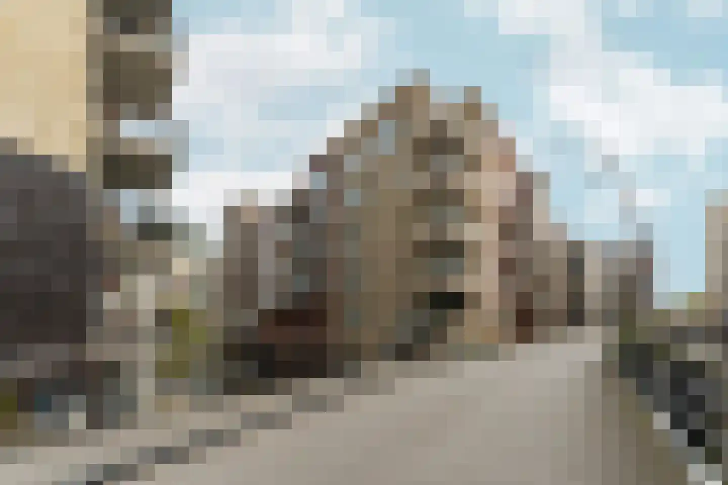 Carel Willinkgracht 439 Diemen thumbnail 41