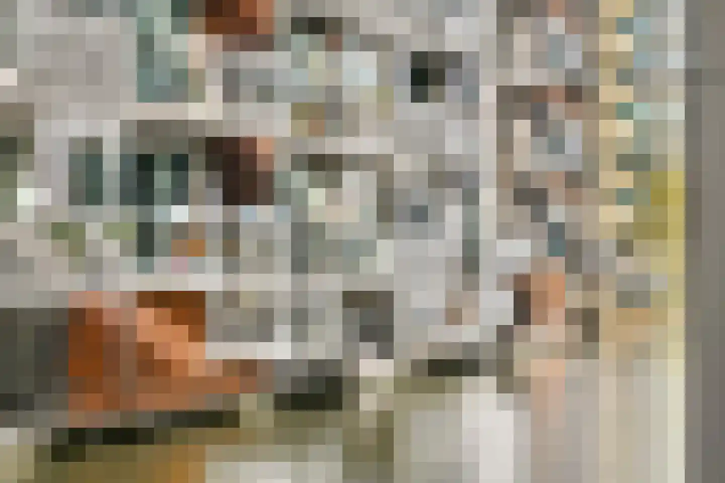 Carel Willinkgracht 471 Diemen thumbnail 20
