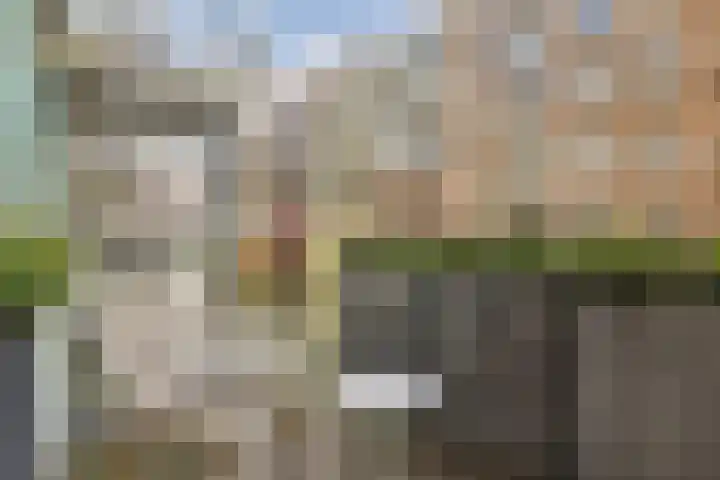 Carel Willinkgracht 477 Diemen thumbnail 21