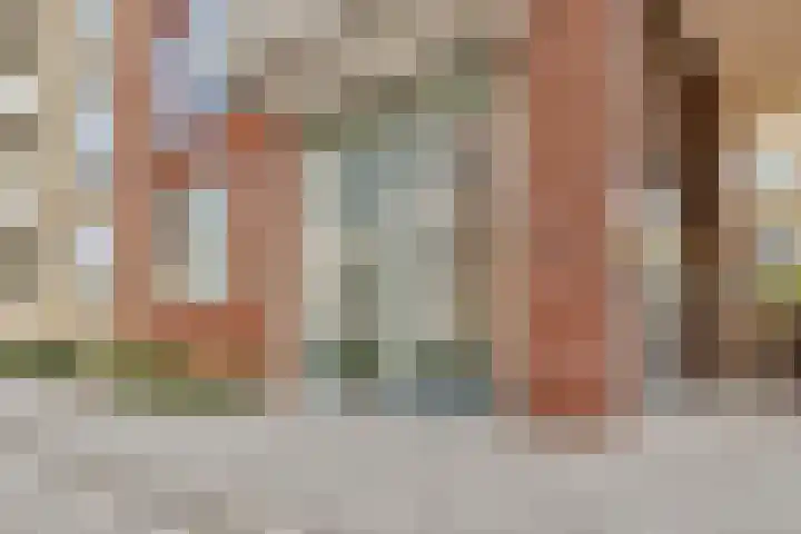 Carel Willinkgracht 477 Diemen thumbnail 8