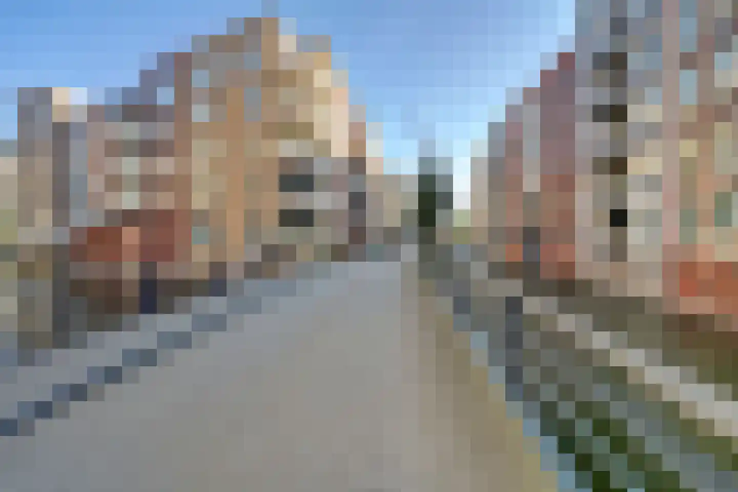 Carel Willinkgracht 513 Diemen thumbnail 41