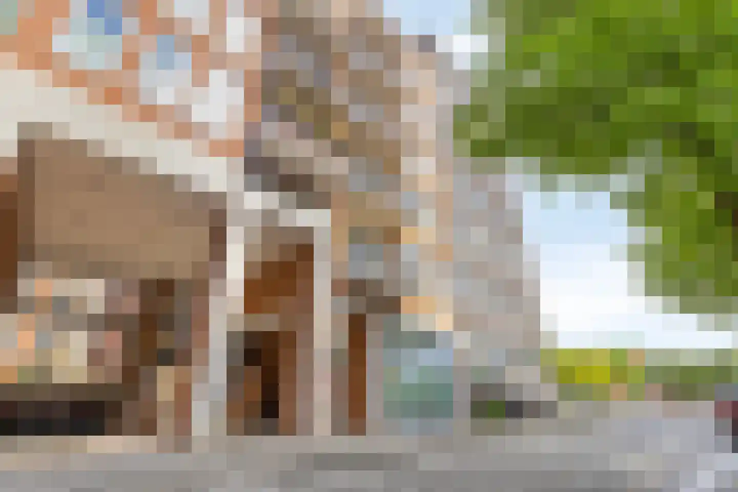 Carel Willinkgracht 767 Diemen thumbnail 6