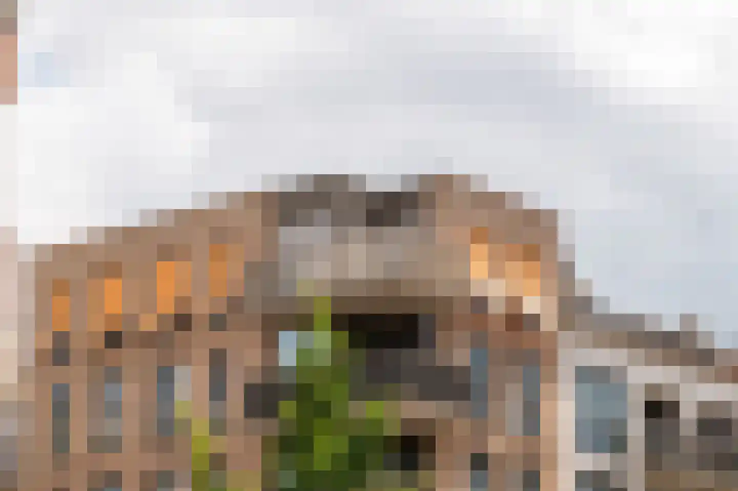 Carel Willinkgracht 773 Diemen foto 2
