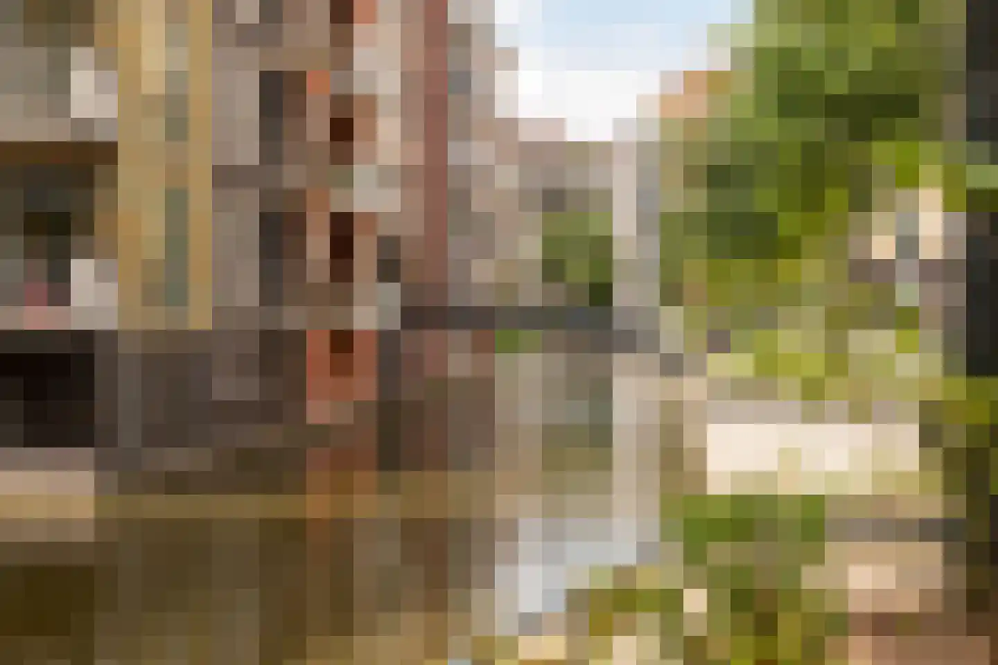 Carel Willinkgracht 773 Diemen thumbnail 39