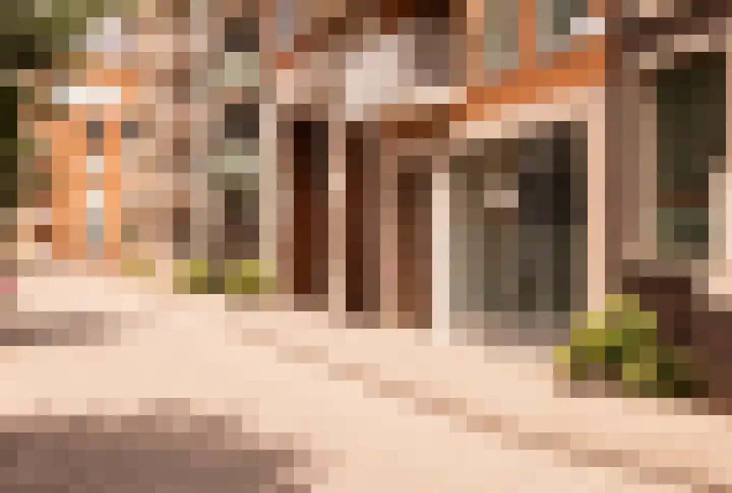 Carel Willinkgracht 773 Diemen thumbnail 54