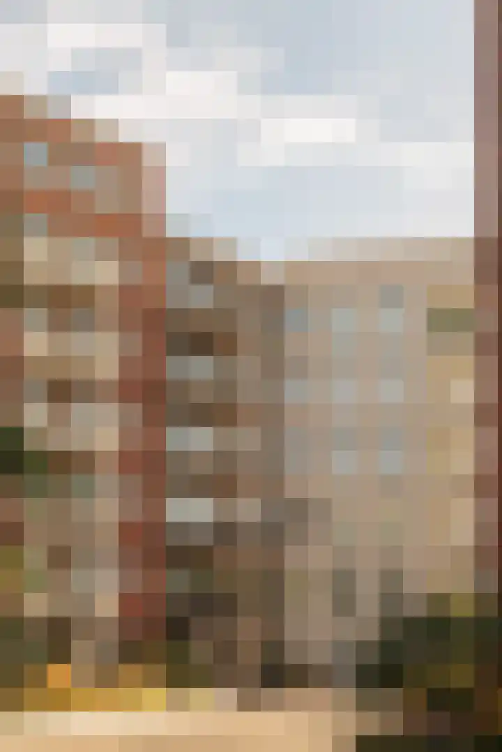 Carel Willinkgracht 803 Diemen thumbnail 23
