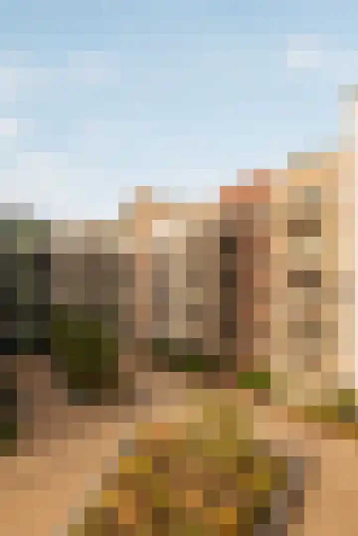 Carel Willinkgracht 803 Diemen thumbnail 25