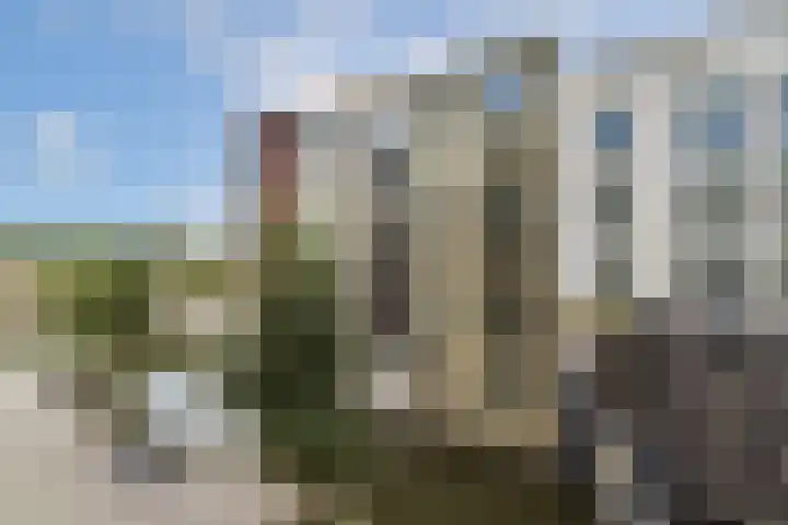 Carel Willinkgracht 889 Diemen thumbnail 10
