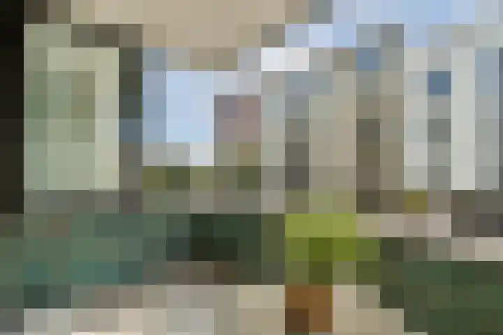 Carel Willinkgracht 889 Diemen thumbnail 9