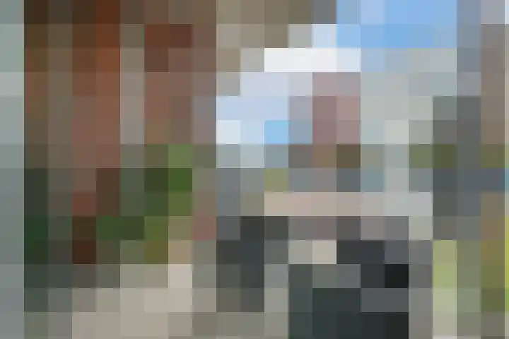 Carel Willinkgracht 905 Diemen thumbnail 16