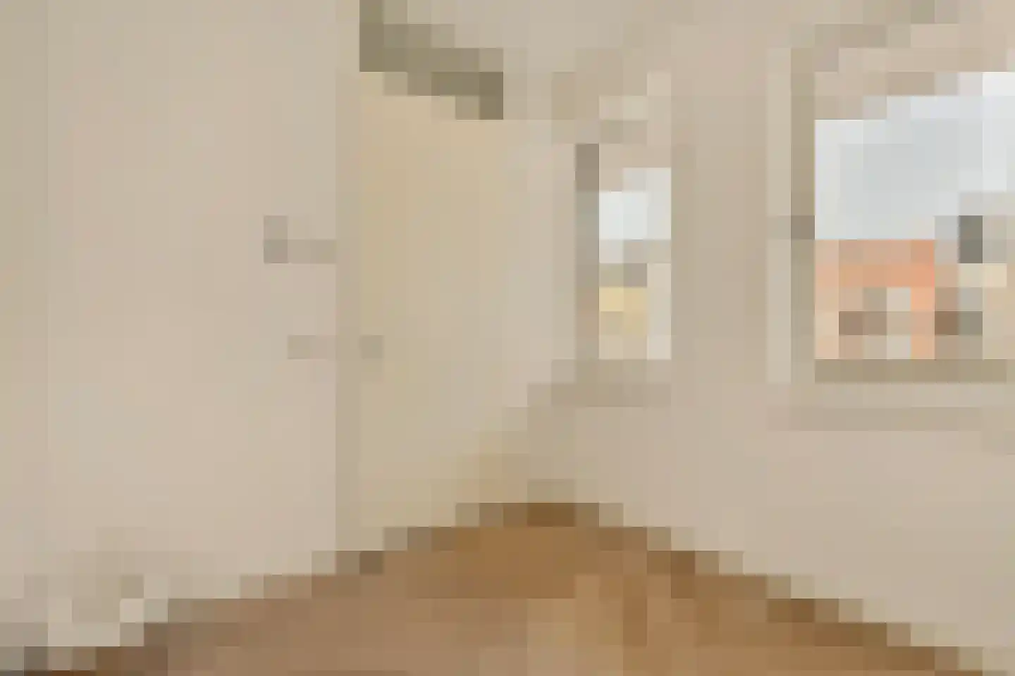 Carel Willinkgracht 923 Diemen thumbnail 25